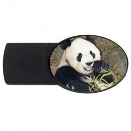 Custom USB Flash Drive Oval (4 GB) Custom USB Flash Drive Oval (4 GB)