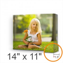 Custom Deluxe Canvas 14" x 11" (Stretched) Custom Deluxe Canvas 14" x 11" (Stretched)