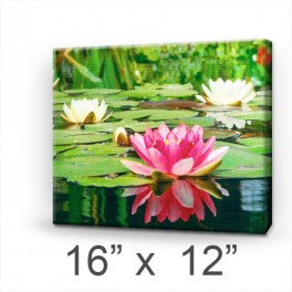Custom Canvas 16" x 12" (Stretched) Custom Canvas 16" x 12" (Stretched)