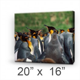 Custom Canvas 20" x 16" (Stretched) Custom Canvas 20" x 16" (Stretched)