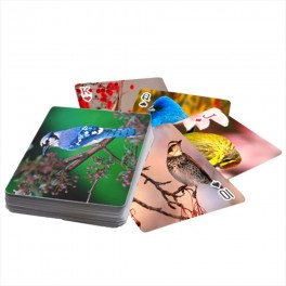 Custom Playing Cards 54 Designs