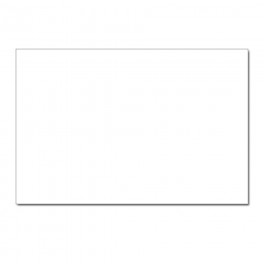Custom Postcards 5" x 7" (Pkg of 10) Custom Postcards 5" x 7" (Pkg of 10)